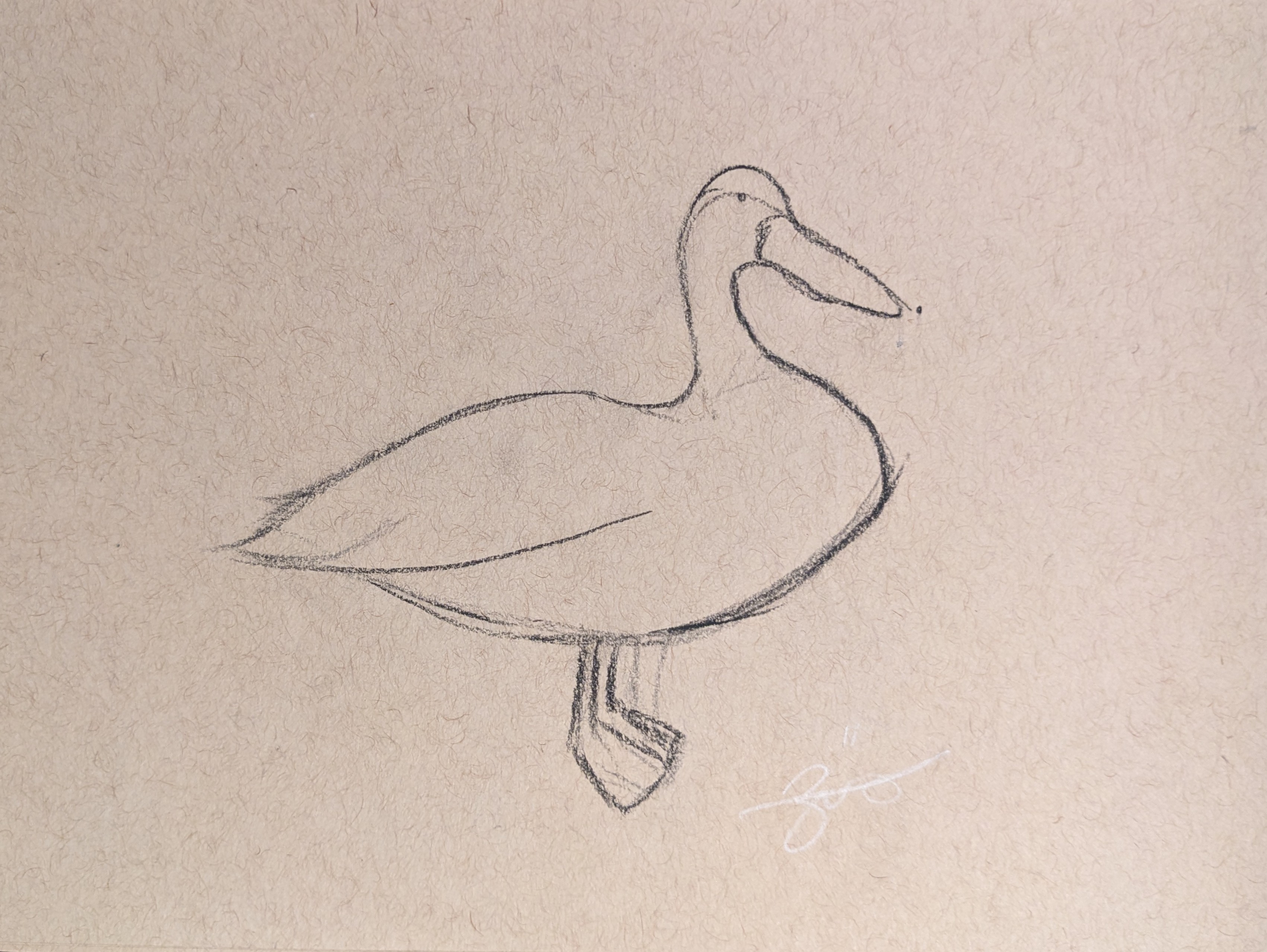 Duck 2 by: Zoë Williams